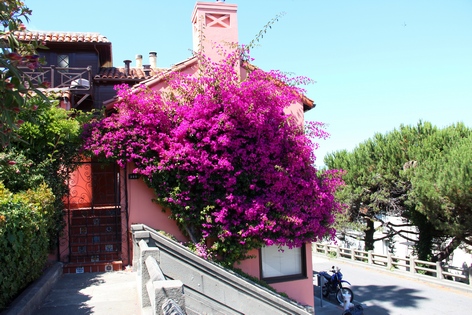 ���-���������